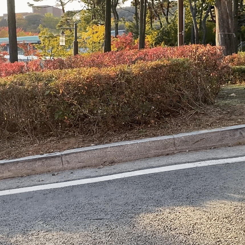 카트